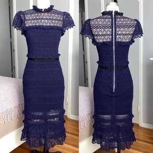 Womens Parker navy lace stretch dress in navy, size XS